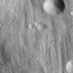 FC21B0024770_12099100021F1B.jpg
