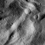 FC21B0024821_12099144211F1B.jpg