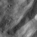 FC21B0024861_12099185437F1B.jpg