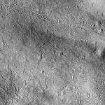 FC21B0025079_12101102909F1B.jpg