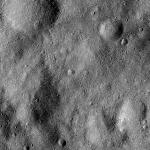 FC21B0025103_12101142016F1B.jpg