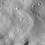 FC21B0025123_12101145418F1B.jpg