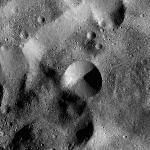 FC21B0025174_12102215904F1B.jpg