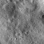 FC21B0025383_12103193333F1B.jpg