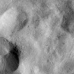 FC21B0025392_12103195602F1B.jpg