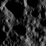 FC21B0025411_12105233918F1B.jpg