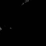 FC21B0025497_12106082605F1B.jpg