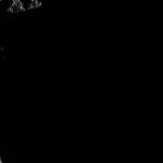 FC21B0025498_12106082805F1B.jpg