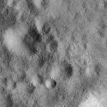 FC21B0025613_12107025031F1B.jpg