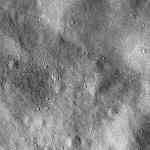 FC21B0026142_12113131412F1B.jpg