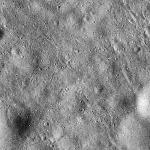 FC21B0026407_12115002857F1B.jpg