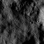 FC21B0026423_12115040731F1B.jpg