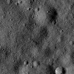 FC21B0026428_12115041731F1B.jpg