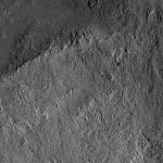 FC21B0026481_12115085506F1B.jpg