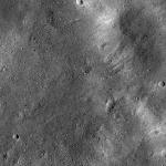 FC21B0026571_12116112243F1B.jpg