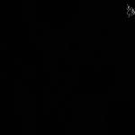 FC21B0026598_12116151738F1B.jpg