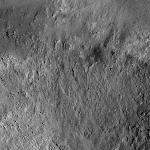 FC21A0026847_12119142410F1G.jpg