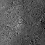 FC21A0026848_12119142540F1G.jpg