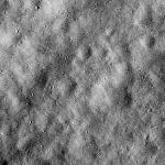 FC21A0026978_12120033552F1G.jpg