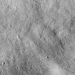 FC21A0027041_12120083930F1G.jpg