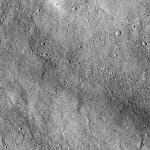 FC21A0027042_12120084200F1G.jpg