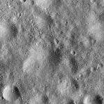 FC21A0027072_12120123734F1G.jpg