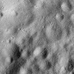 FC21A0027242_12121191921F1G.jpg