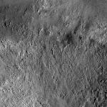 FC21B0026847_12119142410F1C.jpg