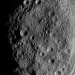 FC21A0006677_11241031036F1F.jpg