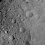 FC21A0006723_11241193536F1J.jpg