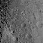 FC21A0006724_11241195536F1J.jpg