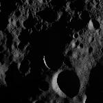 FC21A0007256_11273114503F6X.jpg