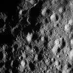 FC21A0007270_11273120043F4X.jpg