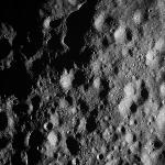 FC21A0007273_11273120106F7X.jpg