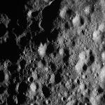 FC21A0007274_11273120113F8X.jpg