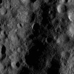 FC21A0007300_11273122731F2X.jpg