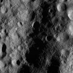 FC21A0007302_11273122743F4X.jpg