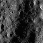 FC21A0007306_11273122809F8X.jpg