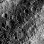 FC21A0007316_11273123835F2X.jpg