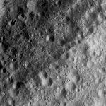 FC21A0007324_11273124401F2X.jpg