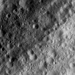 FC21A0007325_11273124407F3X.jpg