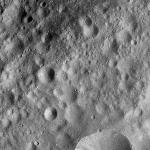 FC21A0007337_11273125003F7X.jpg