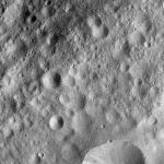 FC21A0007338_11273125010F8X.jpg