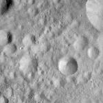 FC21A0007350_11273130046F4X.jpg