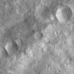 FC21A0007388_11273132802F2X.jpg