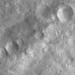 FC21A0007389_11273132808F3X.jpg