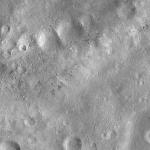 FC21A0007396_11273133331F2X.jpg