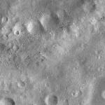 FC21A0007397_11273133338F3X.jpg