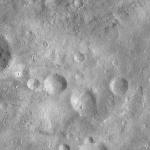 FC21A0007408_11273133929F6X.jpg