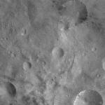 FC21A0007445_11273141039F3X.jpg